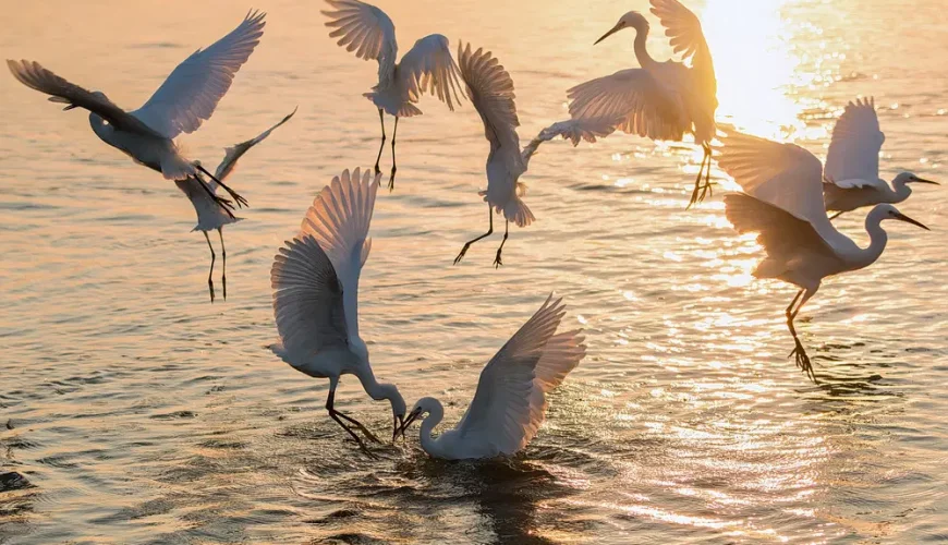Bhubaneswar Konark Puri Chilika Tour Package